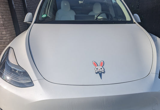 Paashaas voor Tesla-logo